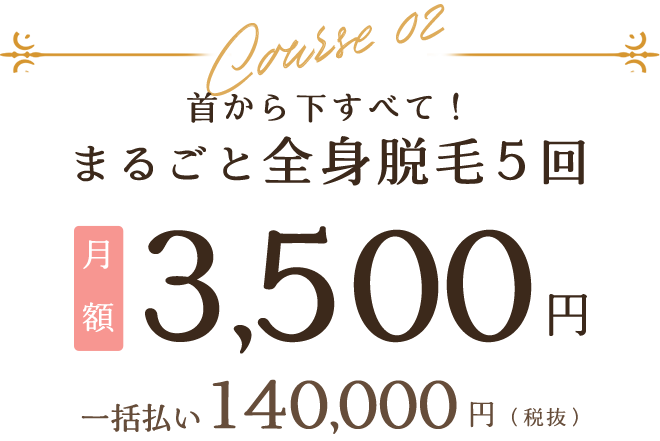 まるごと全身脱毛