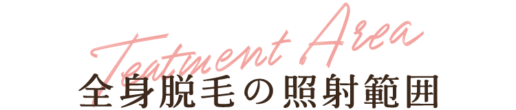 全身脱毛照射範囲